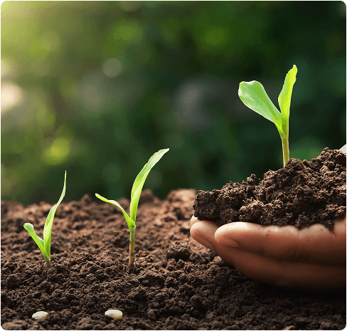 Agriculture Technology
